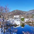 Photos: 東屋の冬