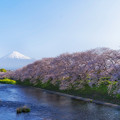 Photos: 美しきかな日本の春