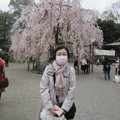 写真: 大國魂神社の枝垂れ桜