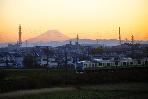 写真: 夕景の埼京線        IMG_0028