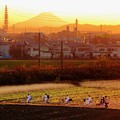Photos: 夕陽に照らされ帰路え・・・      IMG_0017