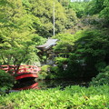 Photos: 貫井神社
