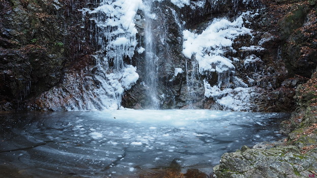写真: 氷結！払沢の滝０１