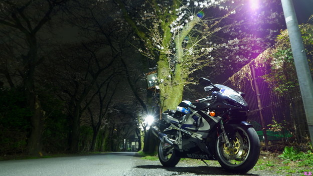 写真: 夜桜GSX-R750