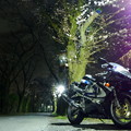 夜桜GSX-R750