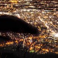 写真: 円山、暮れる