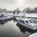 写真: 雪の北運河
