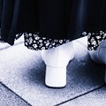 写真: white rose and white boots ／本日の3枚