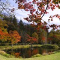 写真: 晩秋の福原山荘「彫刻の池」
