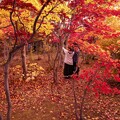 写真: 「秋色に染まる」