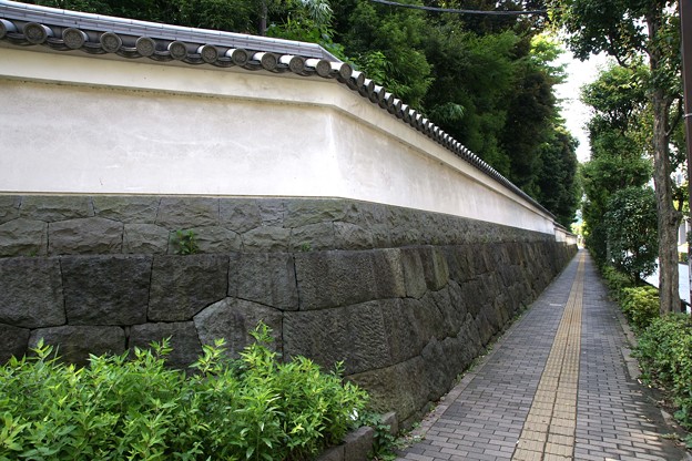 塀の横道
