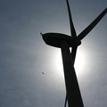 Photos: 風力発電