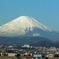 Photos: 新幹線より撮影