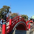 Photos: 亀戸天神社