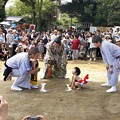 Photos: 花相撲のハプニング