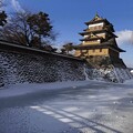 Photos: 冬の高島城