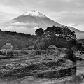 Photos: 忍野からの富士山