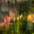 写真: 湖面色彩