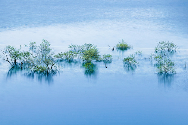 写真: 緑樹の湖