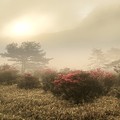 Photos: 高原の朝