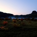 Photos: 夜明けの高原