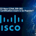 Photos: Get Certified with CCNA Online Training in Pune