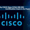 Join Our CCNA Training Center in Pune | WebAsha Technologies