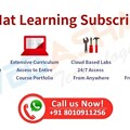 What Does Red Hat Learning Subscription Premium Include