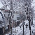 写真: 雪のパセオ通り