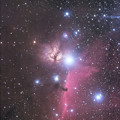 写真: 馬頭星雲