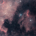 写真: ペリカン星雲