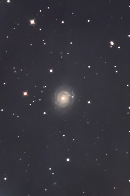 写真: NGC3147に発見されたSN2021hpr