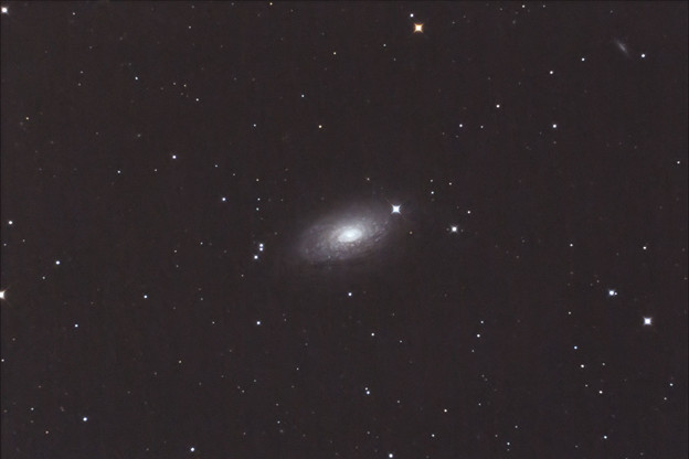 写真: M63　ひまわり銀河