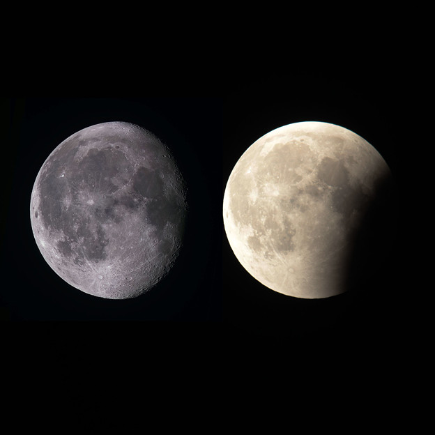 写真: いつもの月(左、月齢18.5)と月食の月(右)の欠け方の違い