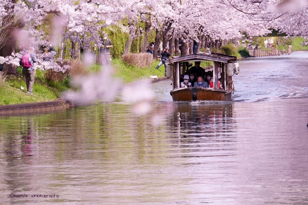 写真: 京都伏見の十石船♪