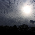 写真: 雲にのまれる天守閣