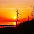 写真: 落陽能登は赤住海岸