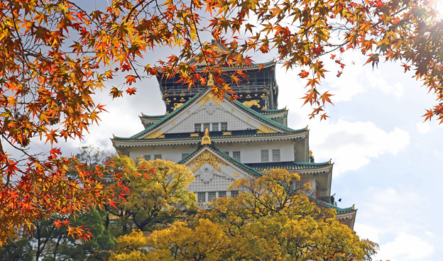 写真: 大阪城を彩って＾＾