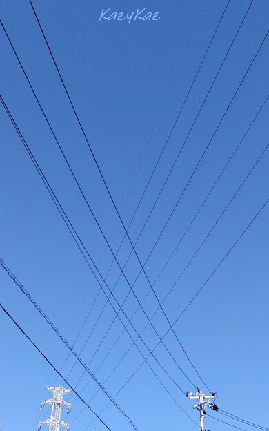 写真: 電線交差点