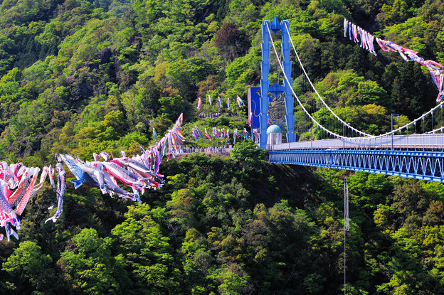 Photos: 竜神吊橋２