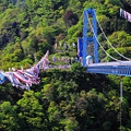 Photos: 竜神吊橋２