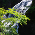 Photos: 袋田の滝２