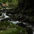写真: 渓流・・のれん滝の上流