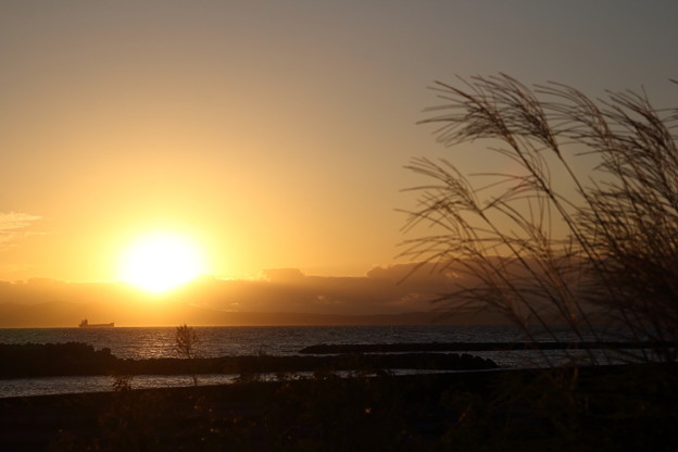 写真: 夕日とススキ・・丸島