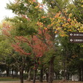 写真: 秋もよう・・エコパーク