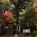 住吉神社の紅葉