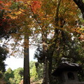 住吉神社の紅葉