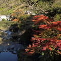 写真: 湯の鶴温泉の紅葉