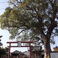 写真: 加藤神社