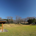 写真: 中尾山コスモス園